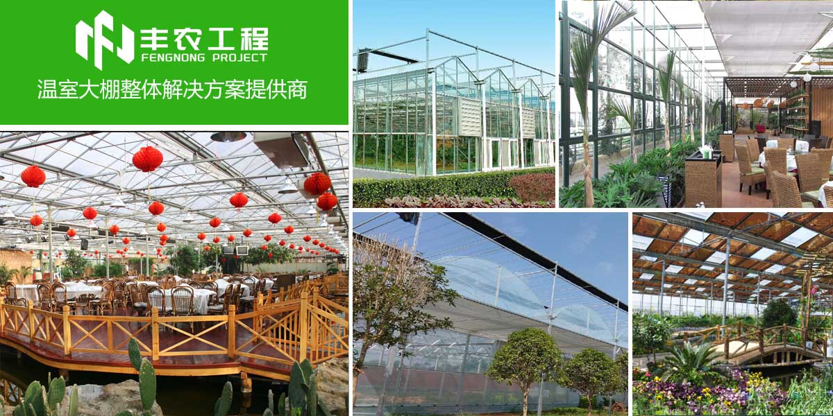 專業(yè)創(chuàng)造價(jià)值,服務(wù)贏得未來(lái)