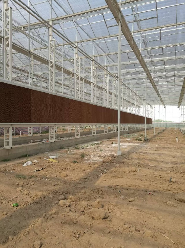 2016年咸陽市涇陽縣涇河智慧農(nóng)業(yè)園