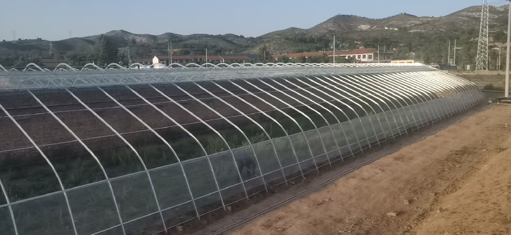 2022年黎城縣靳曲村日光溫室項(xiàng)目