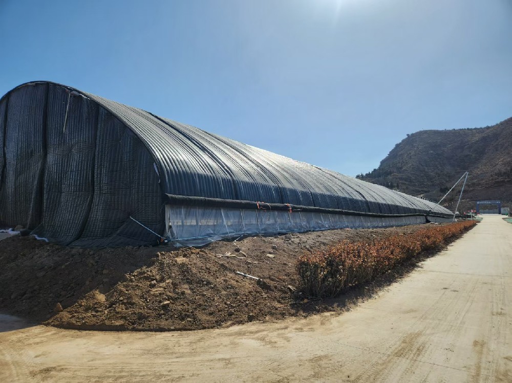 2022年神農(nóng)集團(tuán)馬鈴薯所農(nóng)業(yè)園區(qū)建設(shè)項(xiàng)目