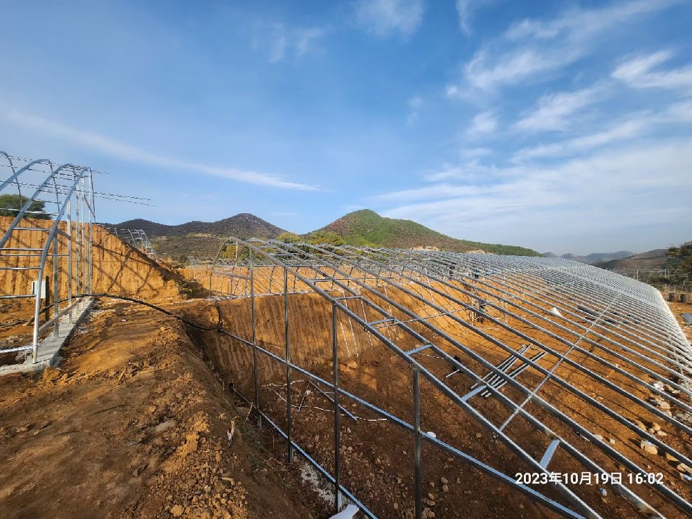 2023年黎城縣王家莊日光溫室項(xiàng)目